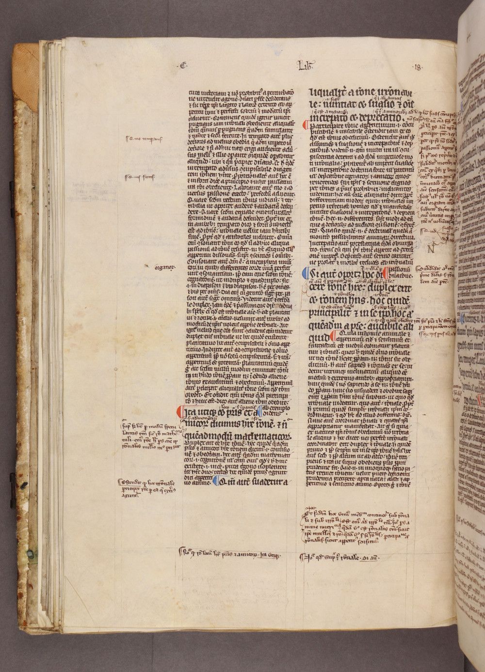 Folio 42 verso